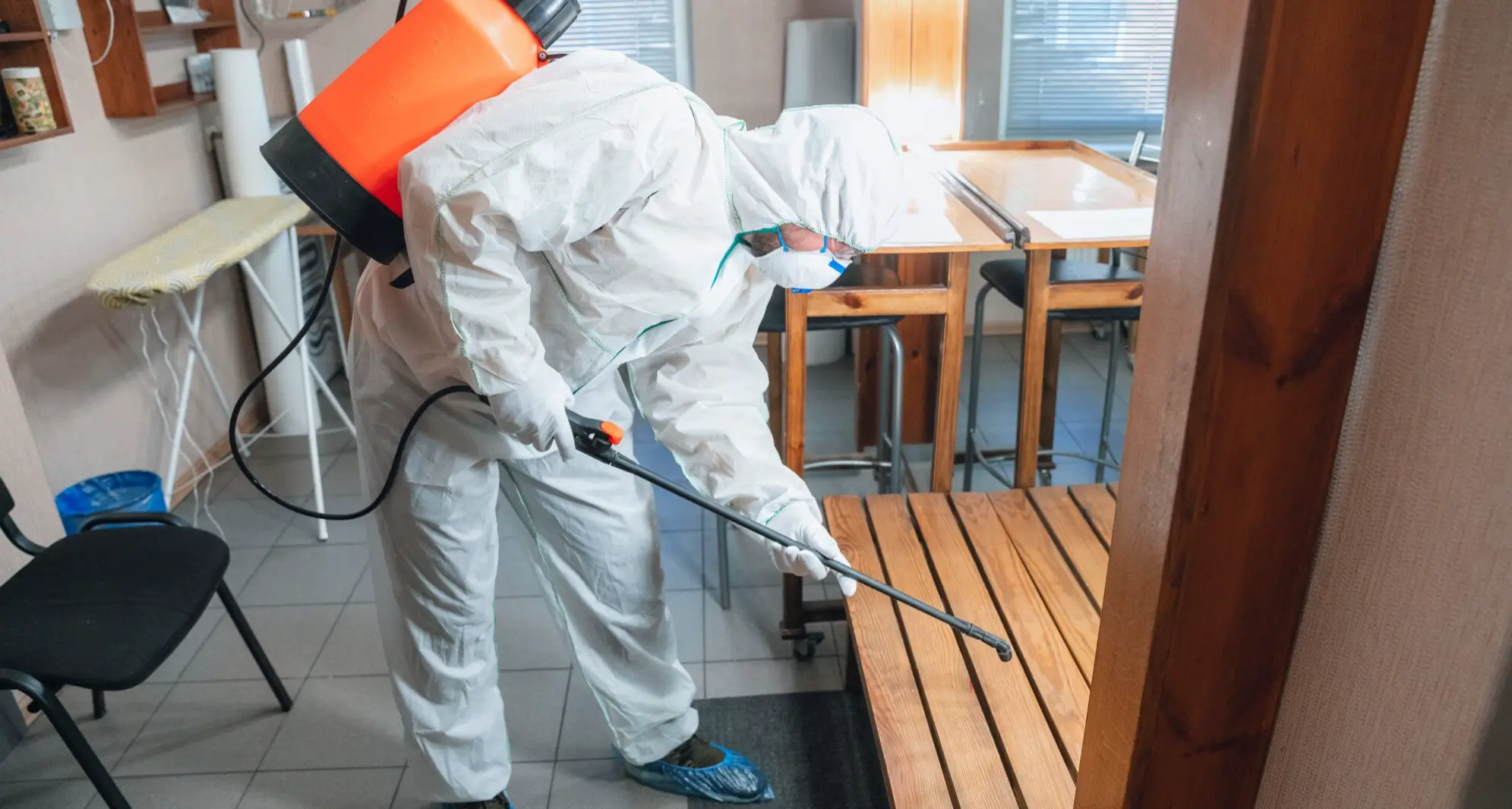 Pest Control Services in Pune