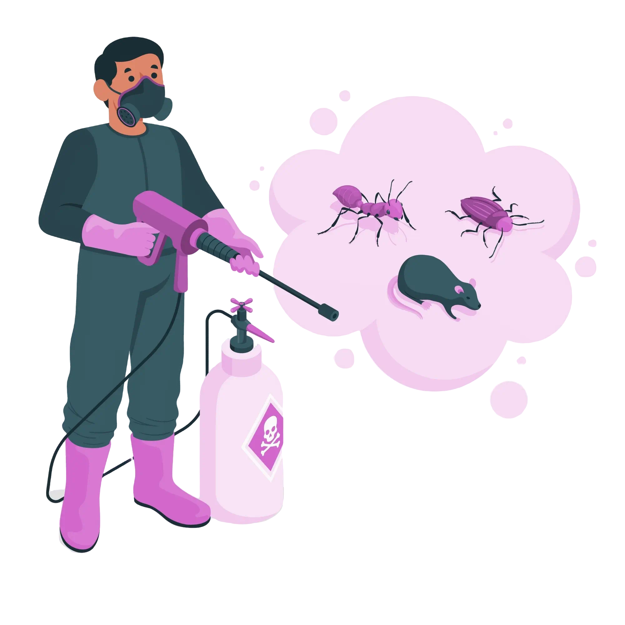 Pest Control Services in Pune